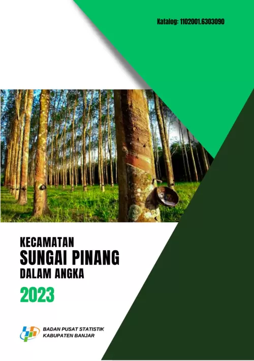 Kecamatan Sungai Pinang Dalam Angka 2023